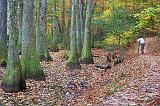 Swamp Photographer_25136